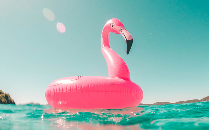 Summer Newsletter Image